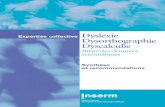 Synthèse Dyscalculie Dyslexie