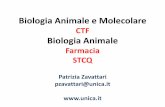 Biologia Animale e Molecolare