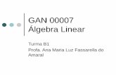 GAN 00007 Álgebra Linear - Sites dos Professores da ...