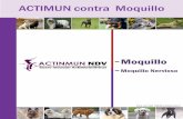 Actinmun NDV descripción general