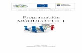 Programación MÓDULO:FCT 1 - IES Puntagorda