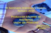 III Seminario Arándanos frescos, Temuco 2015 Producción ...