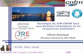 JRE’2016 Stratégie du GIP-CNFM face Toulouse aux besoins ...