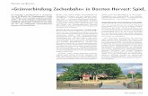 rojekte B »Grünverbindung Zechenbahn« in Dorsten-Hervest ...