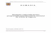 ROMANIA / Strategia naţională pentru programele ...