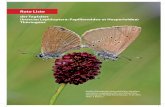 der Tagfalter (Insecta: Lepidoptera: Papilionoidea et ...