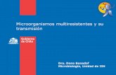 Microorganismos multiresistentes y su transmisión