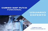 CURSO SAP FI/CO