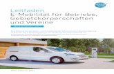 Leitfaden E-Mobilität für Betriebe, Gebietskörperschaften ...