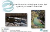 La continuité écologique dans les hydrosystèmes fluviaux