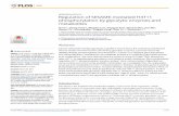 Regulation of SESAME-mediated H3T11 phosphorylation by ...