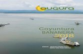 COYUNTURA BANANERA 2018 - Augura