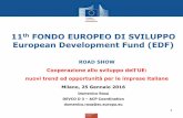 ROAD SHOW Cooperazione allo sviluppo dell'UE