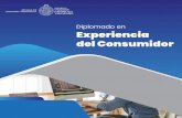 folleto experiencia del consumidor