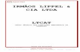 Irmãos Lippel & CIA Ltda - LTCAT 2014