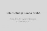 Internetul şi lume arabă