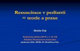 Resuscitace v pediatrii = teorie a praxe