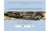 Ecología de Diplodon parallelopipedon en Laguna del Sauce ...