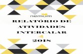 RELATÓRIO DE ATIVIDADES INTERCALAR