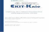 Langfassung: S2k-LL Indikation Knieendoprothese (AWMF ...