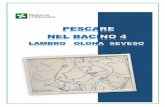 PESCARE NEL BACINO 4 - Regione Lombardia
