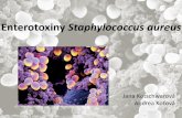 Enterotoxiny Staphylococcus aureus - vscht.cz