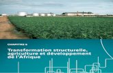 Transformation structurelle, agriculture et développement ...
