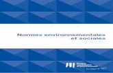 Normes environnementales et sociales