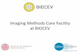 Imaging Methods Core Facility at BIOCEV