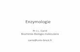 Enzymologie - univ-brest.fr
