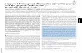 Long-read bitter gourd (Momordica charantia) genome and ...