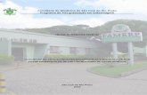 Faculdade de Medicina de São José do Rio Preto Programa de ...