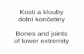 Kosti a klouby - anatomie.lf2.cuni.cz