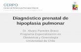 Diagnóstico prenatal de hipoplasia pulmonar