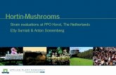 Hortin-Mushrooms - WUR