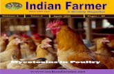 Mycotoxins in Poultry - INDIAN FARMER