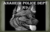 Anaheim Police Dept K9