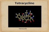 Tetracycline - PTE ÁOK