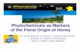 Phytochemicals as Markers of the Floral Origin of Honey