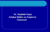 Dr. Seyfettin Kaya - turkiyeesru.org