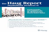 Der Haug Report - imin-org.eu