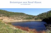 Botanique aux Neuf-Riaux