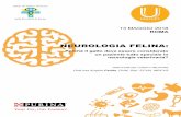 NEUROLOGIA FELINA - ordineveterinariroma.it