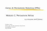 Corso di Percezione Robotica (PRo) Modulo C. Percezione Attiva