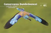 Conservarea Dumbravencei - rollerproject.eu