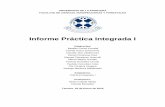 Informe Práctica Integrada I - .: Facultad de Ciencias ...