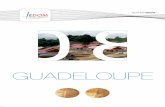 RA 2008IEDOM Guadeloupe - IEDOM - IEDOM