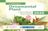 Catalogue Ornamental Plant - Colviveros