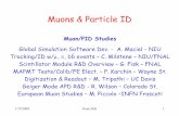 Muons & Particle ID