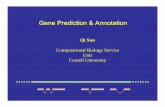 Gene Prediction & Annotation - Cornell University
